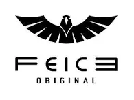 logo Feice