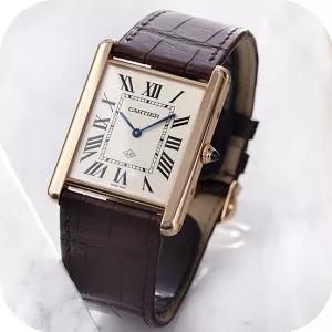 Logo Top 100 Montres